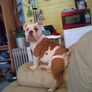 Meet your Posher, Deborah